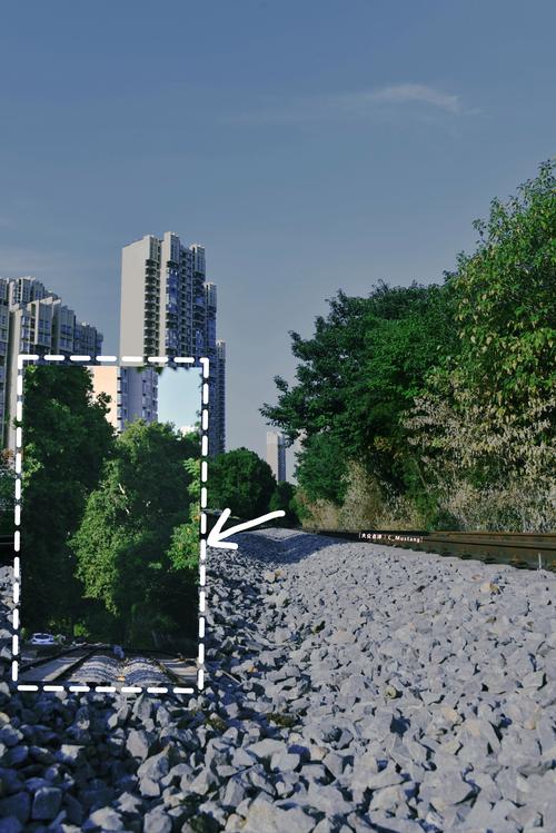 苹果手机照片拍出来有光点图2