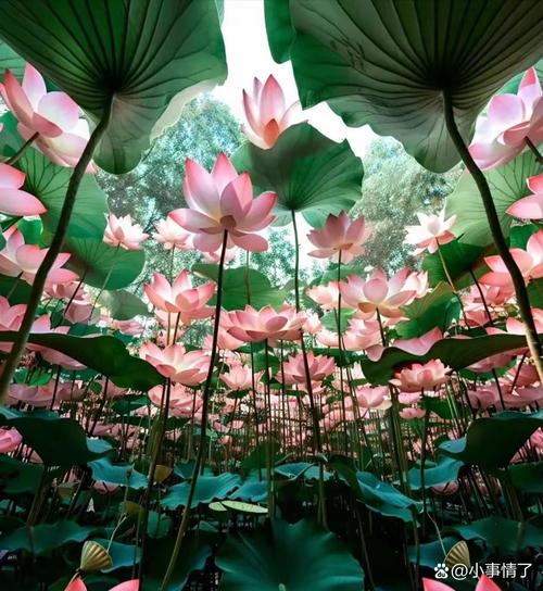 什么样的角度拍照最好看图2