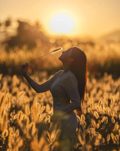 美图秀秀网页版在线使用制作图片图3