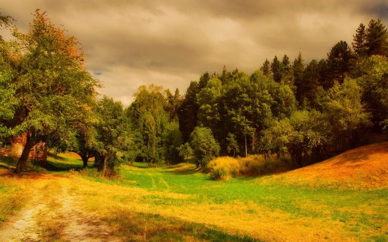 电脑上看照片软件哪个好用图3