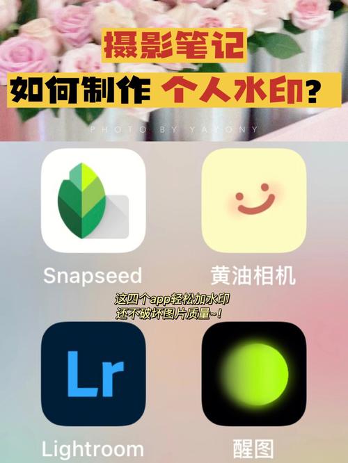 怎么拍水印照片图2