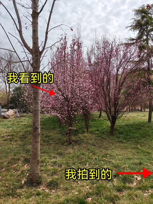 手机更新之后相机用不了了图3