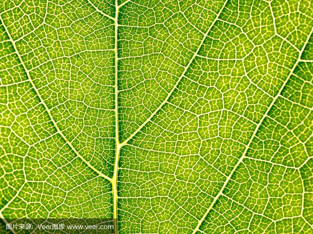 拍照后面的背景布图片怎么去掉图3