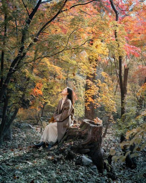 秋天怎么拍照更好看?这么拍也太美了