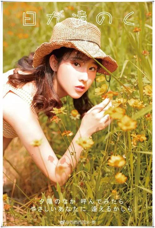 纯色背景打光图3