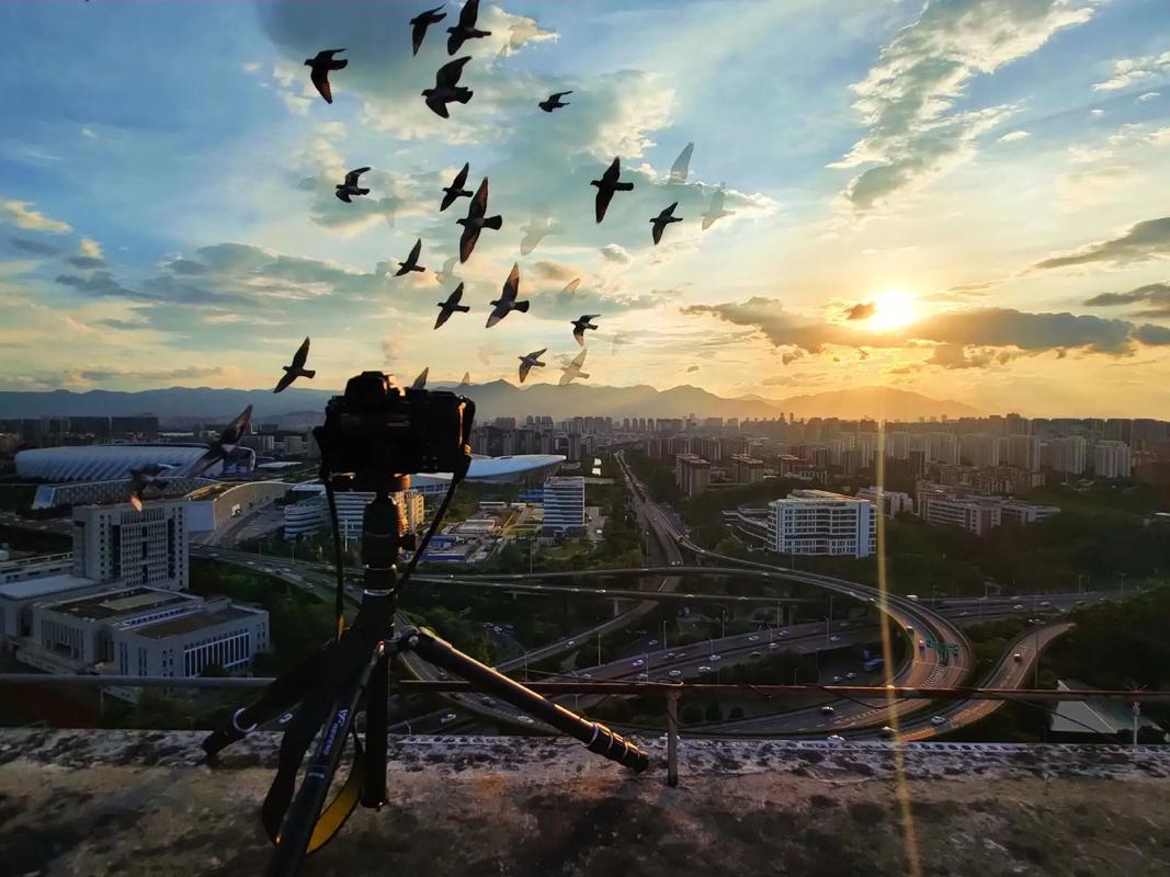 哪个相机拍照片最自然