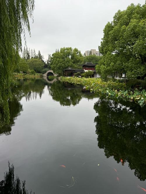 红叶拍照姿势大全图片图1