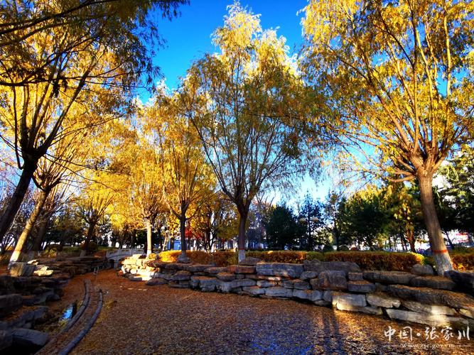 红叶拍照姿势大全图片图3