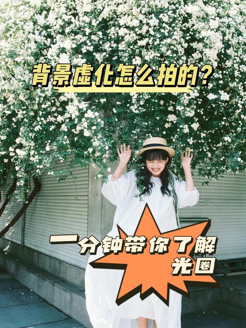 拍照背景怎么设置图1