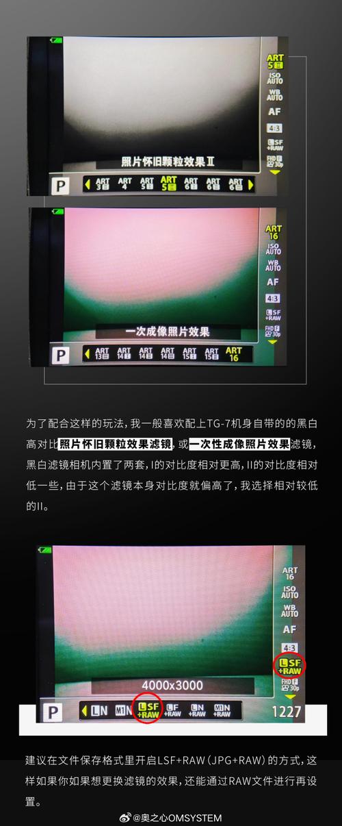 免费拍照计数软件哪个好图2