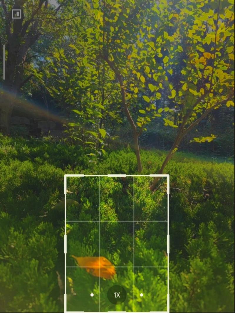 手机摄影拍摄技巧