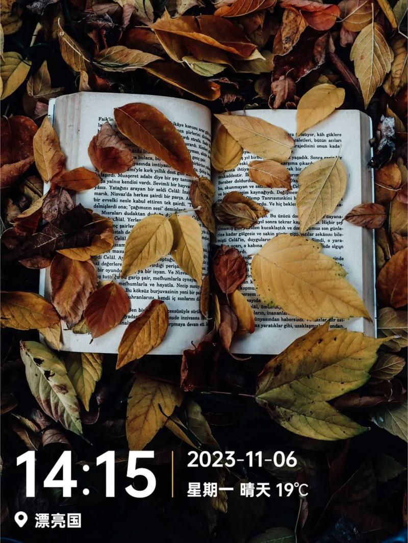 带日期地点的水印相机