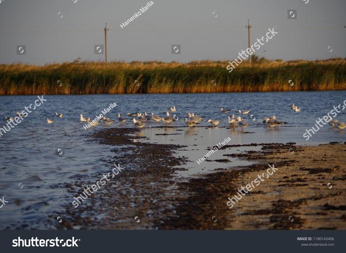 商业背景图片素材无水印图2