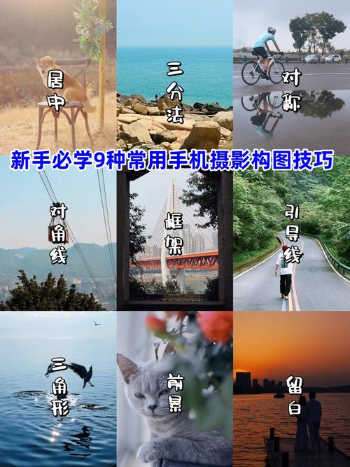 拍照角度和技巧有哪些图2