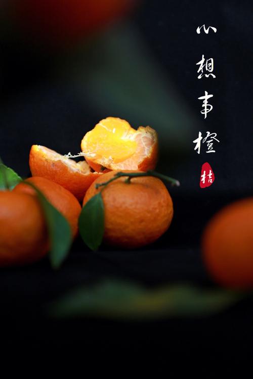 纯色拍照打光图片蓝色图3