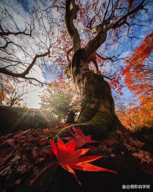 怎么用手机拍照不反光图3