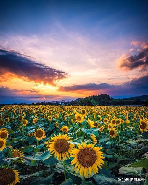 手机拍照怎么样显示个子高图2