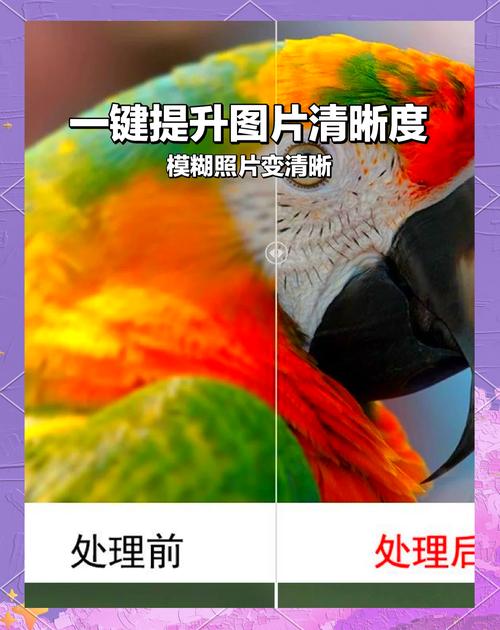 用美图秀秀后照片变模糊如何修复