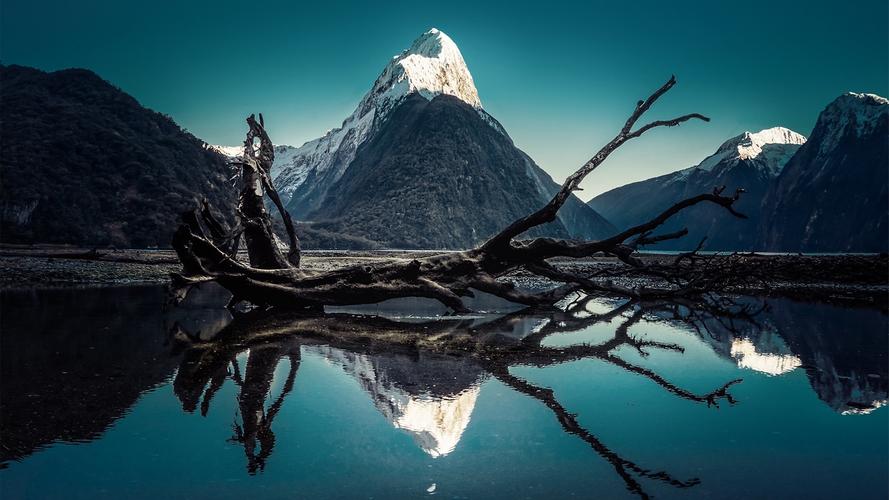 拍照背景图片素材模糊无水印图2