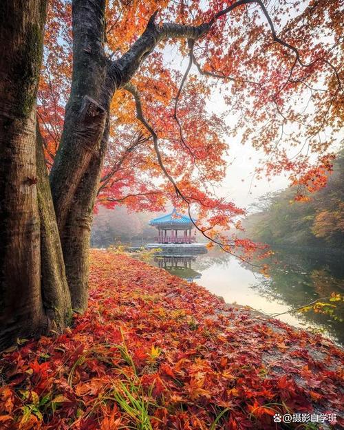 手机对着太阳拍照有绿色点点图2