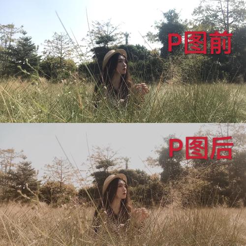 美图秀秀的版本介绍图2