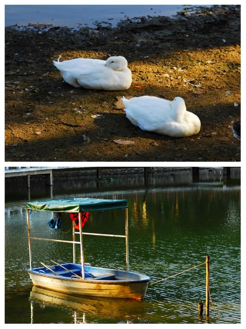 时光相机拍照功能介绍图1