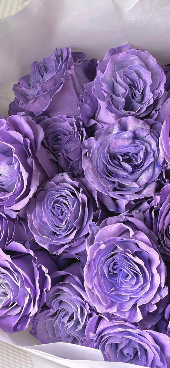 分享一组紫色系背景图壁纸,你是紫色控吗?