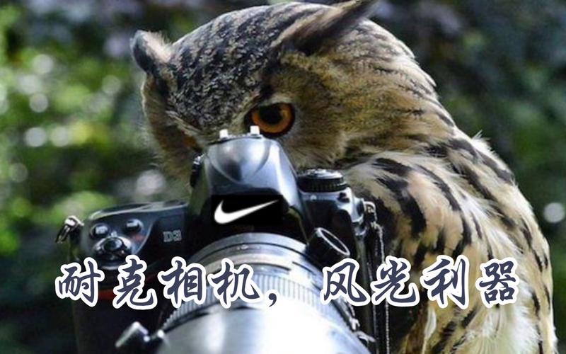 水印相机照相时时间地点显示没有了图3