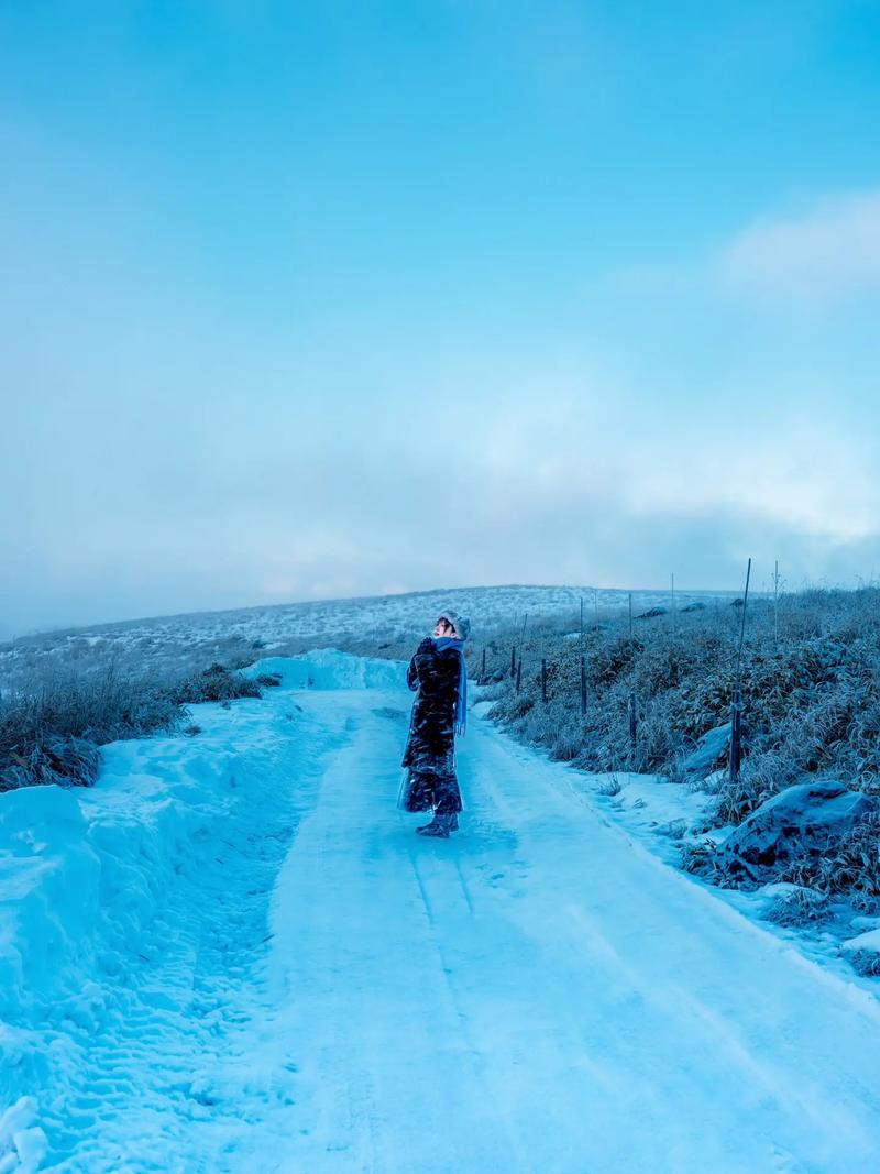 下雪拍照姿势怎么摆图2