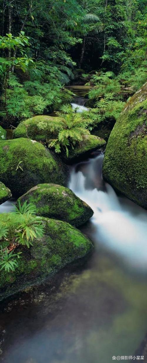 目前公认最好拍照手机是哪款图3