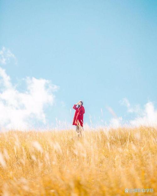 拍摄出了什么问题,怎样才能拍成第二张图那样?