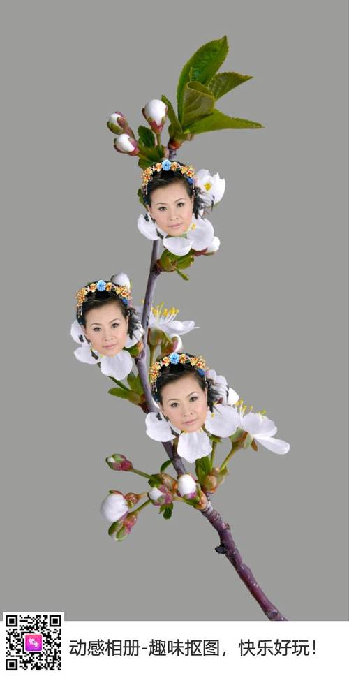 什么软件能把100张照片图片制作成相册影集视频?