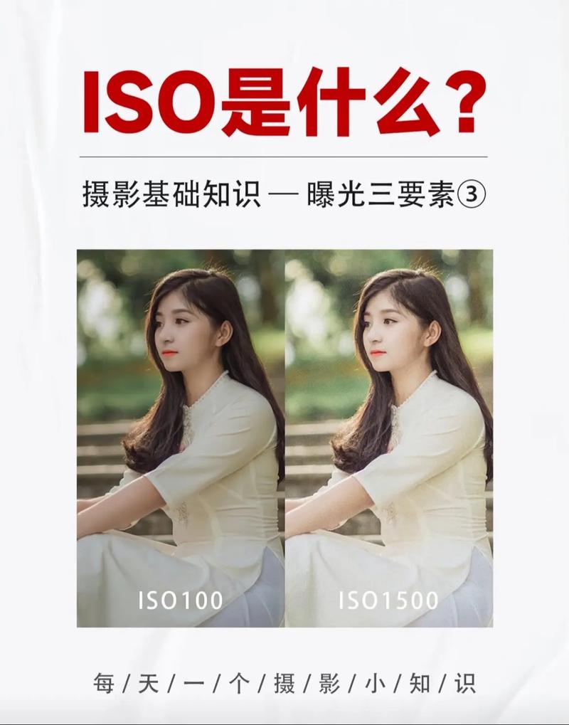 哪里可以学摄影