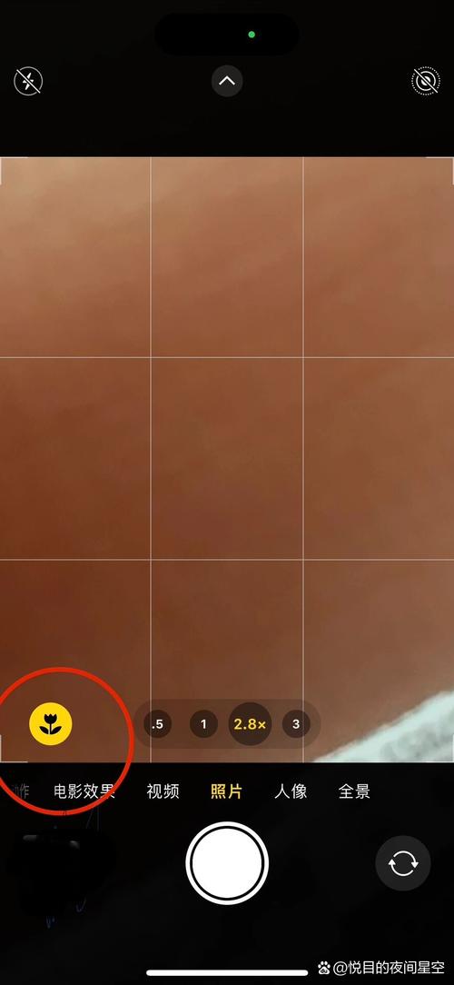 手机上的照相机的图标没了?