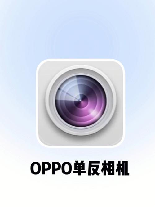 oppo相机图标不见了怎么办啊