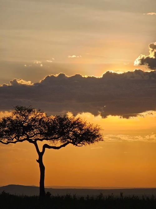 什么手机像素高拍照清晰