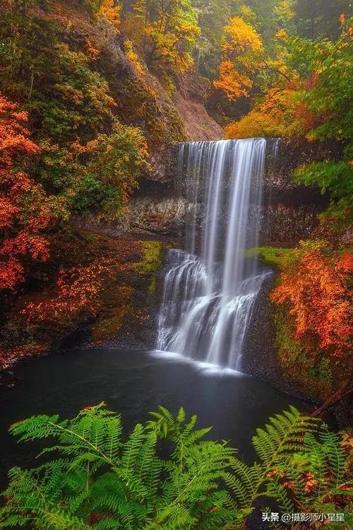 什么手机拍照片最好看又清晰