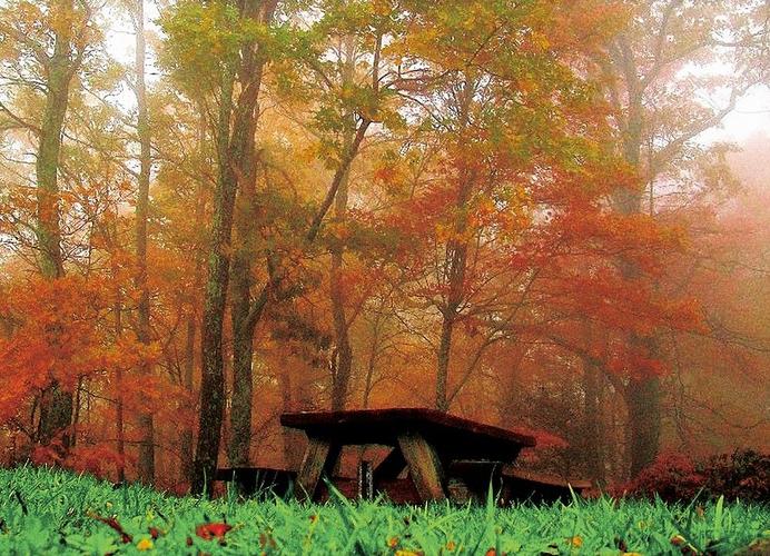 从色彩心理学角度来考虑,哪种颜色的纯色被称为最暖色