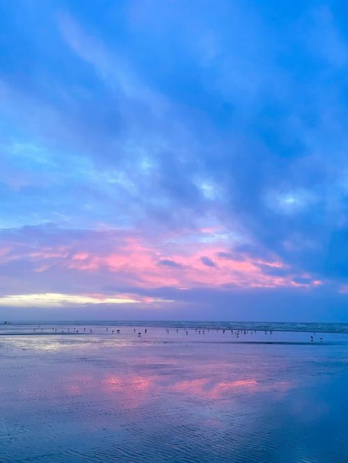 海水有紫色灯光是什