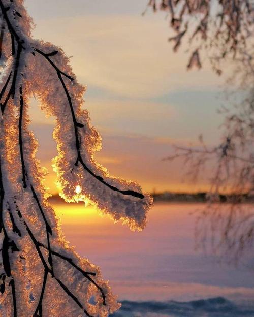 怎样拍出一张好看的雪景照?