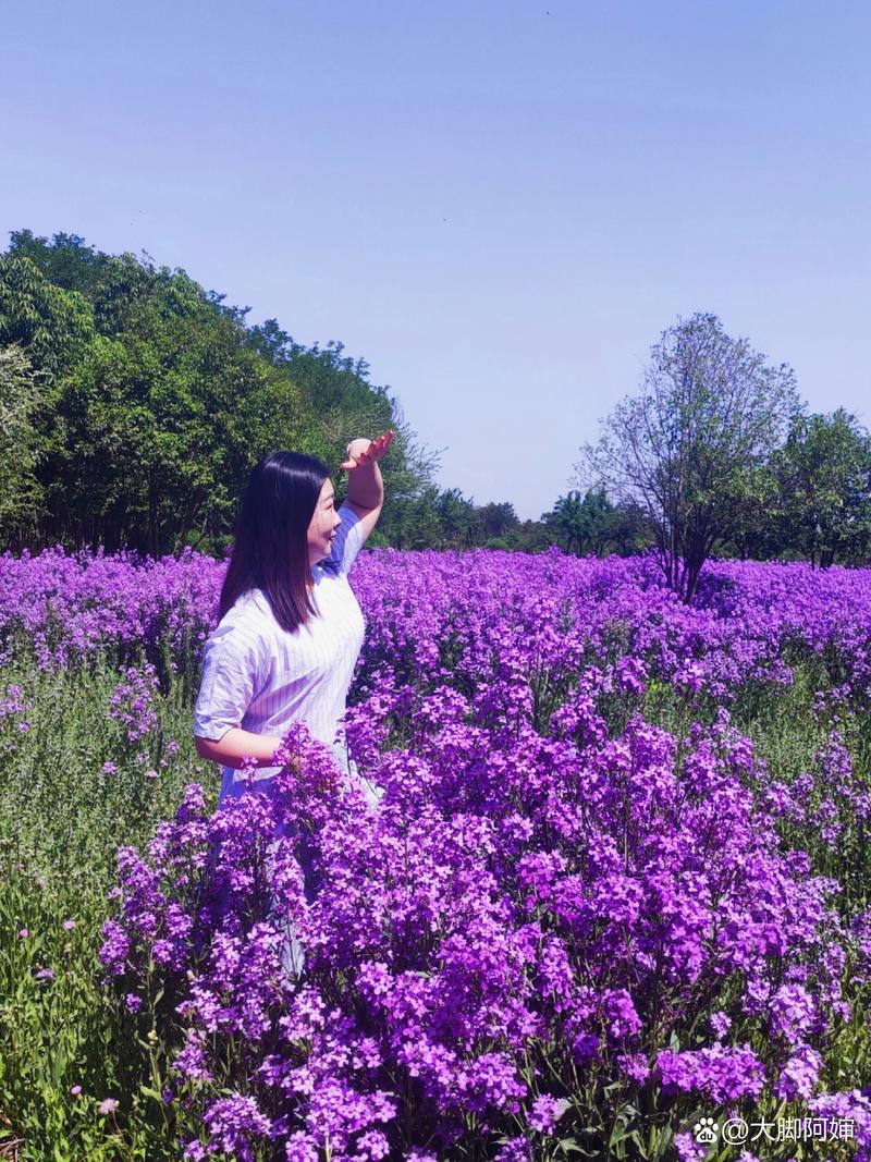 网红拍照紫色的光是什么