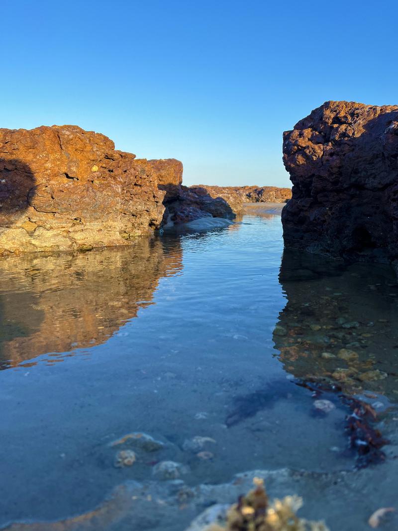 这种图片背景模糊手机是怎么拍照出来的