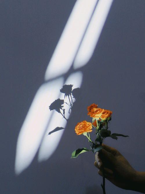 投影仪背景图字母图2