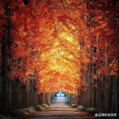 摄影小白,怎么才能拍出高大上产品图片?