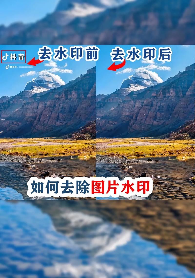 抖音去水印免费软件