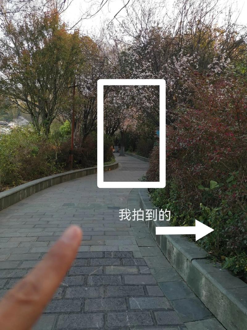 用什么手机相机拍照显示时间地点