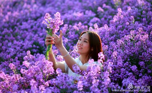 紫色衣服美女背景图片