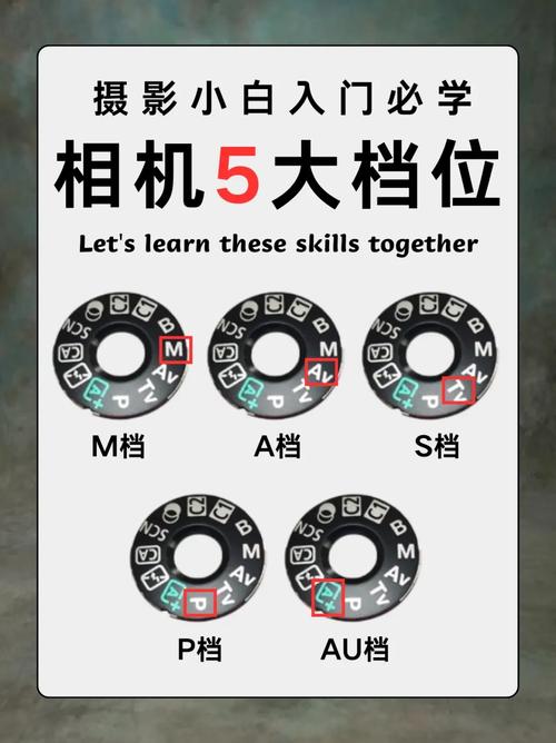 如何在笔记本电脑上连接数码相机使用?