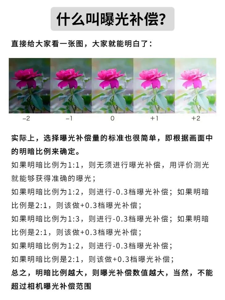 摄影养成:曝光补偿!