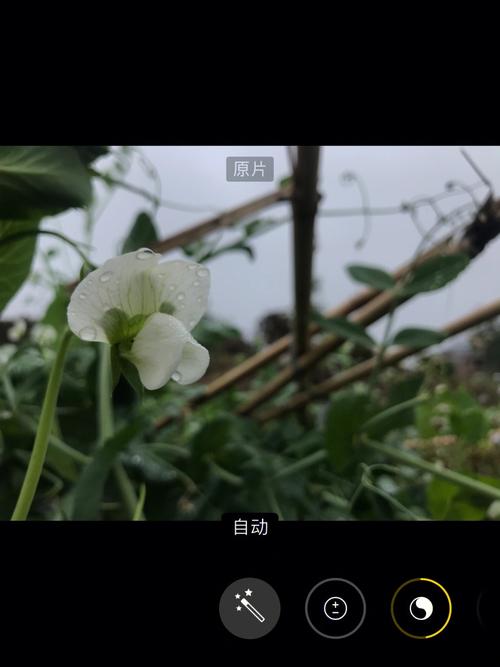 苹果手机能拍大片是第几代